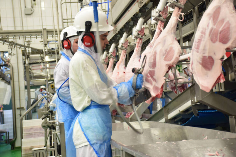 México suspende importações de carne suína da Espanha para controlar peste suína africana