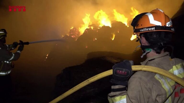 União Europeia registra maior área queimada em incêndios florestais