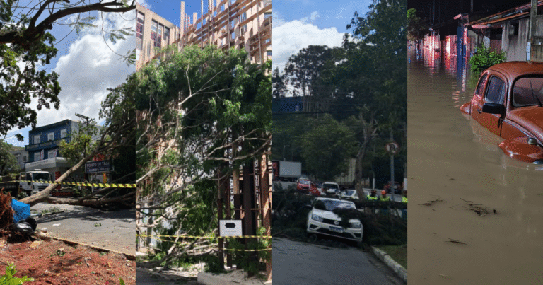 Vendaval na Lapa: entenda o fenômeno do ciclone em SP