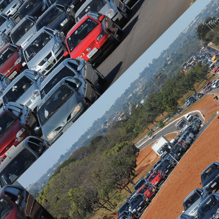 Golpe da CNH Social: saiba como se proteger de fraudes