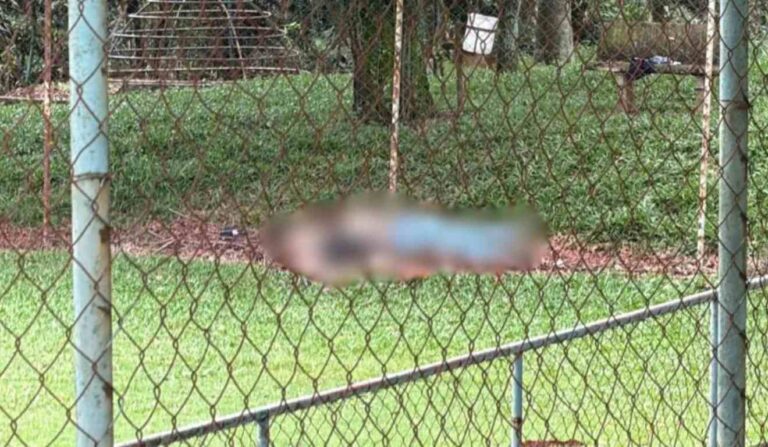Mistério em Cascavel: Jovens encontrados mortos em campo de futebol