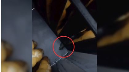 Ratos em pães levam à prisão do dono de supermercado em Goiás