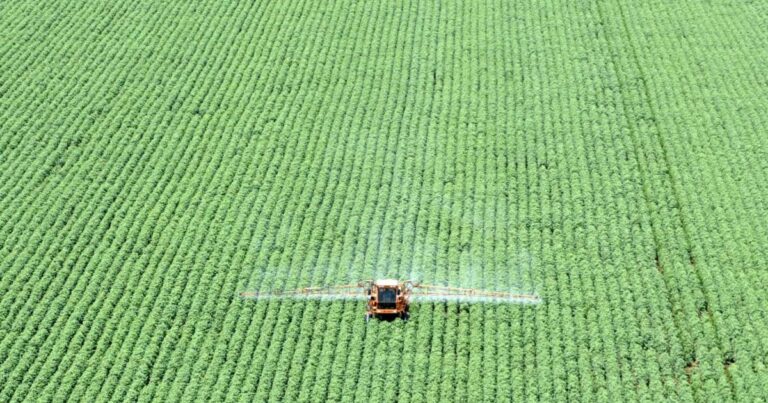 Mercosul-UE impulsiona crescimento do agro brasileiro além das commodities