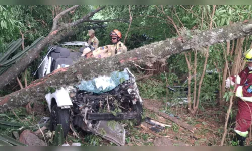 Motorista fica ferido após carro cair em ribanceira no contorno norte de Apucarana