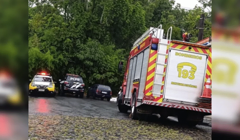 Idoso morre prensado pelo caminhão em Ponta Grossa