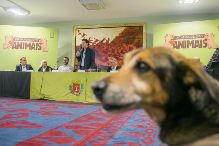 Curitiba autoriza transporte de pets no ônibus, reforçando compromisso com o bem-estar animal