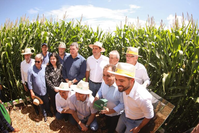 Paraná lança o primeiro fundo estadual para o agronegócio, oferecendo crédito rural com juros reduzidos e investimentos de até R$ 2,5 bilhões.