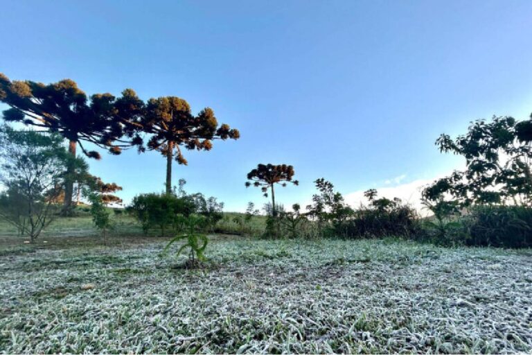 Primeira frente fria de 2025 derruba as temperaturas no Paraná neste fim de semana. Termômetros devem marcar até 8ºC em algumas cidades, com sensação térmica ainda mais baixa.