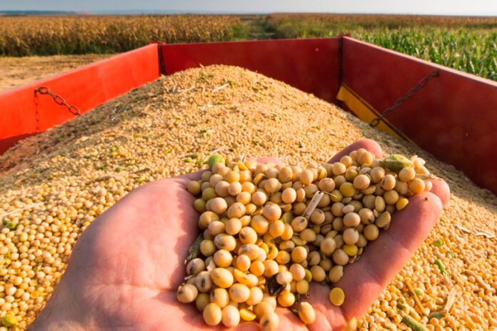 Paraná consolida liderança global em alimentos ao exportar US$ 14,2 bilhões em 2024 para 176 países. China é principal destino, soja e frango lideram embarques.