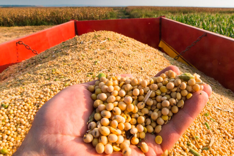 Paraná consolida liderança global em alimentos ao exportar US$ 14,2 bilhões em 2024 para 176 países. China é principal destino, soja e frango lideram embarques.