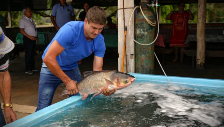 22ª Feira do Peixe promete movimentar Ponta Grossa com preços acessíveis e variedade de produtos