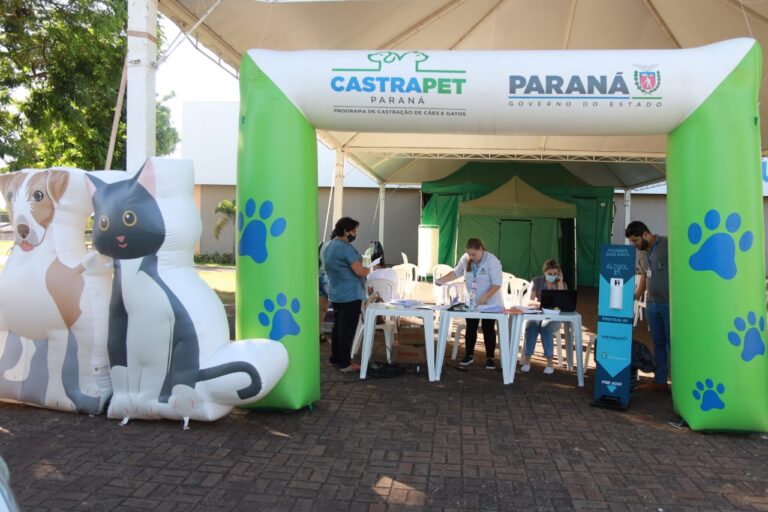 Com investimento de R$ 20 milhões, CastraPet Paraná chega a 100% dos municípios e se consolida como um dos maiores programas de proteção animal do Brasil.