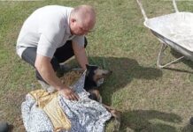 Policiais Militares salvaram um cachorro que estava se afogando em um lago em Guamiranga. A ação rápida e corajosa reforça a importância da causa animal.