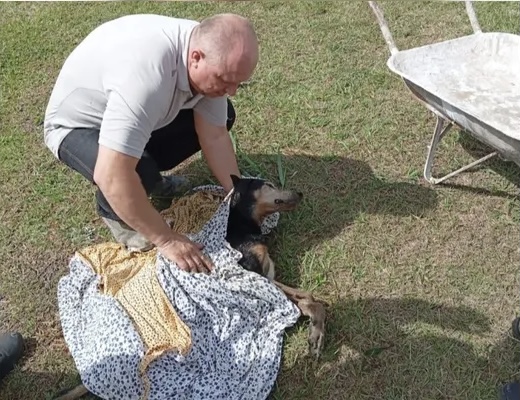 Policiais Militares salvaram um cachorro que estava se afogando em um lago em Guamiranga. A ação rápida e corajosa reforça a importância da causa animal.