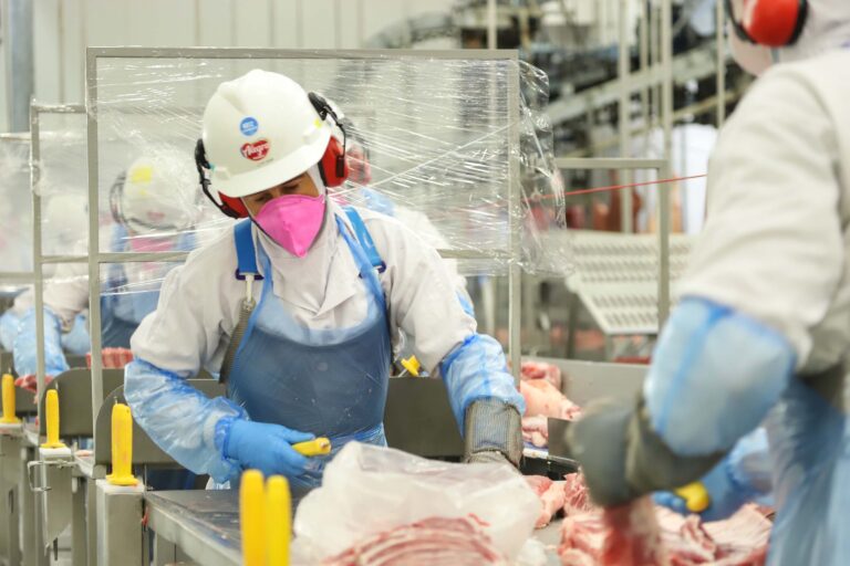 As exportações do Paraná disparam no 1º trimestre de 2025, com alta nas vendas de carnes, cereais e automóveis. Estado movimenta mais de US$ 5 bilhões.
