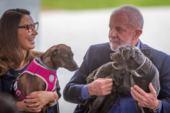 Brasil avança na causa animal com o lançamento do SinPatinhas e ProPatinhas, programas federais que promovem o bem-estar, controle populacional ético e combate ao abandono de cães e gatos em todo o país.