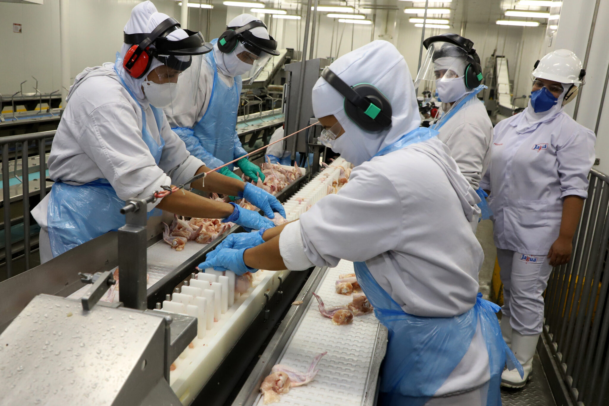 O Paraná exporta mais alimentos que Japão, Suécia e Portugal. Com agroindústria forte e gestão eficiente, o Estado se consolida como potência global no setor de alimentos e bebidas.
