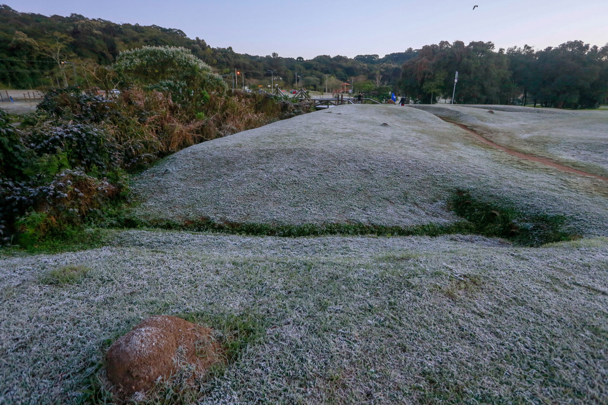 A primeira geada de 2025 chega ao Paraná com frio intenso e mudanças no tempo. Veja quais cidades serão mais afetadas e como o Alerta Geada ajudará os agricultores.