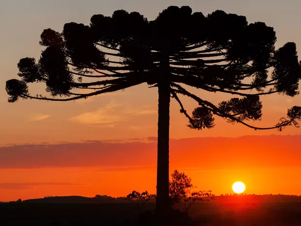 O pôr do sol alaranjado no outono e inverno é bonito, mas perigoso: fenômenos como a inversão térmica e o acúmulo de poluição aumentam os riscos para a saúde e favorecem incêndios florestais.