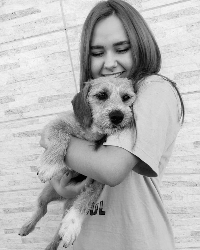 Polícia Civil conclui inquérito de maus-tratos a cachorro atropelado e jogado em compactador de lixo em Ponta Grossa; dois funcionários foram indiciados.