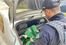 A PRF prendeu uma dupla com 100 kg de maconha e skunk em Ponta Grossa. Os homens foram abordados na BR-373 e confessaram que levariam a droga até a região dos Campos Gerais.