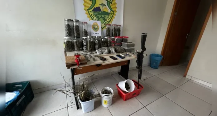 A Polícia Militar desmantelou uma plantação de maconha em uma chácara na região do Chapada, em Ponta Grossa. Ação aconteceu após denúncia detalhada e levou à prisão de dois homens.
