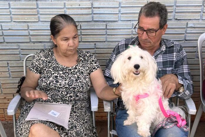 CastraPet Paraná já beneficiou mais de 100 mil animais e vai alcançar todos os 399 municípios até 2026. Programa alia castrações, educação ambiental e saúde pública.