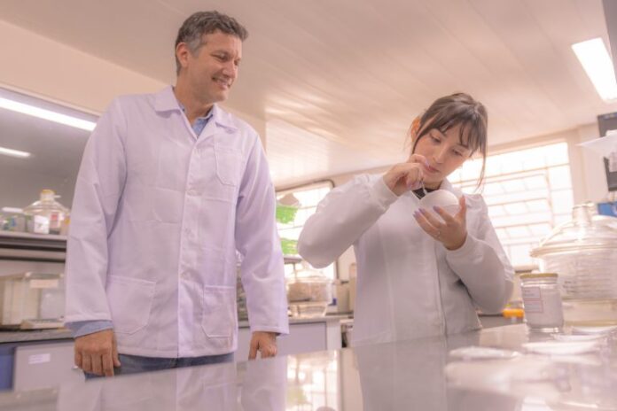 UEPG desenvolve plástico biodegradável a partir de amido de milheto e outros cereais, oferecendo alternativa sustentável ao plástico convencional.