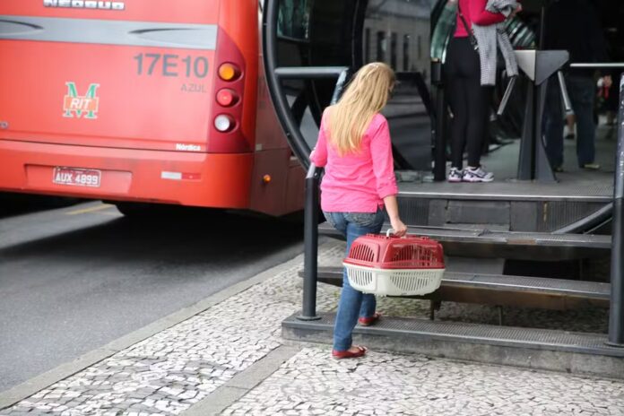 Transporte de pets nos ônibus de Curitiba agora está permitido com regras específicas. Lei exige caixas adequadas e restringe o horário de circulação.