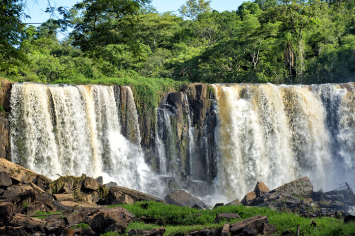 Paraná é campeão em sustentabilidade pelo quarto ano seguido. Estado lidera ranking nacional com políticas ambientais eficazes, proteção à fauna e água de qualidade.