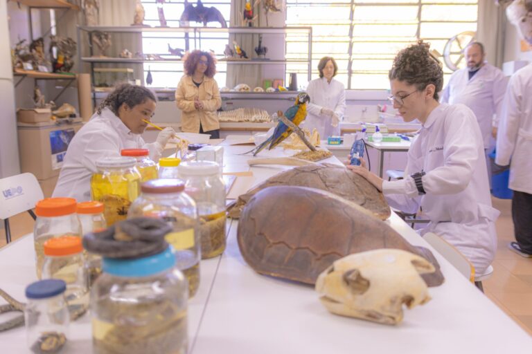 Com mais de mil peças preservadas por taxidermia e osteotécnica, o Laboratório de Zoologia de Vertebrados da UEPG contribui para ensino, pesquisa e educação ambiental em Ponta Grossa e em todo o Paraná.