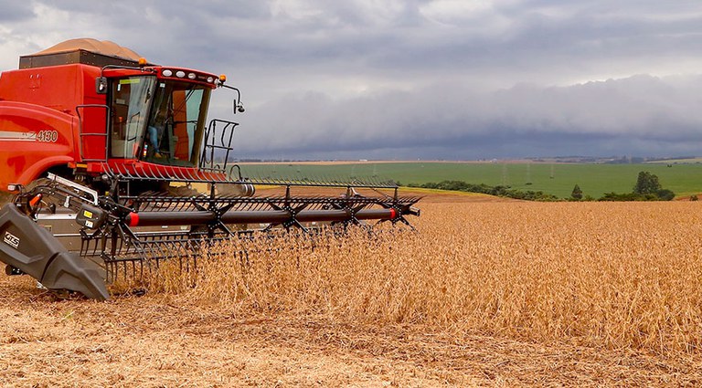 Agricultura inteligente usa previsão do tempo para otimizar irrigação, reduzir perdas e proteger cultivos diante das mudanças climáticas.