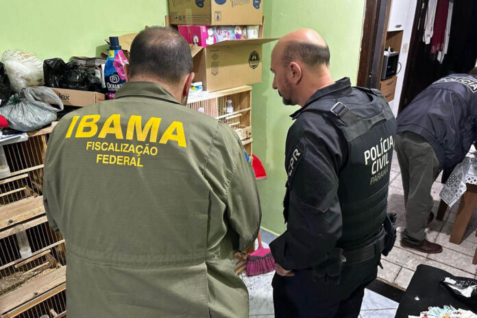 Polícia Civil do Paraná lidera megaoperação contra tráfico internacional de animais
