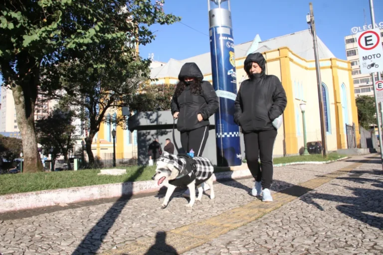 Massa polar derruba temperaturas e traz risco de geada negra no Paraná. Semana começa com vento de 93 km/h, sensação térmica negativa e geadas amplas.