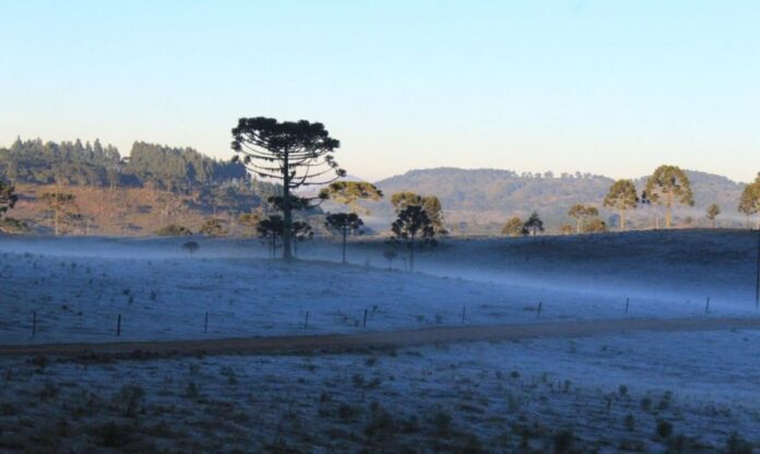 Ponta Grossa registra manhã mais gelada do ano com 1 °C e sensação térmica de -2 °C. Simepar alerta para geadas e possibilidade de geada negra em regiões do Paraná.