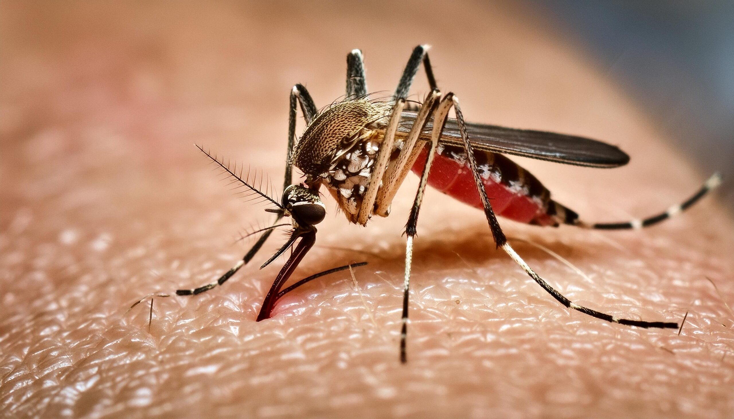 Paraná confirma 2.880 novos casos e duas mortes por dengue em novo boletim da Sesa