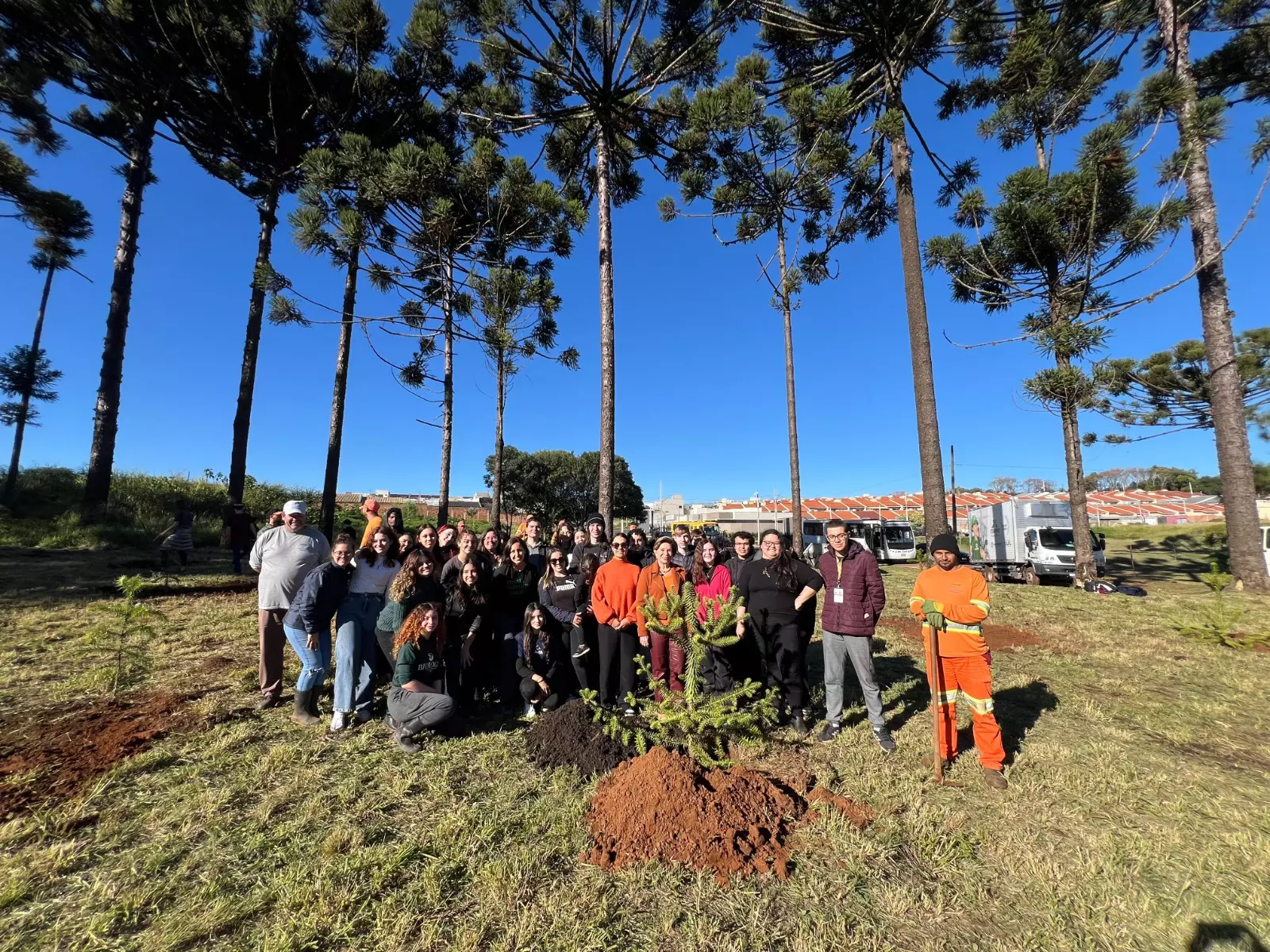 Ponta Grossa planta 50 mudas no Dia Nacional da Araucária e reforça compromisso com o meio ambiente