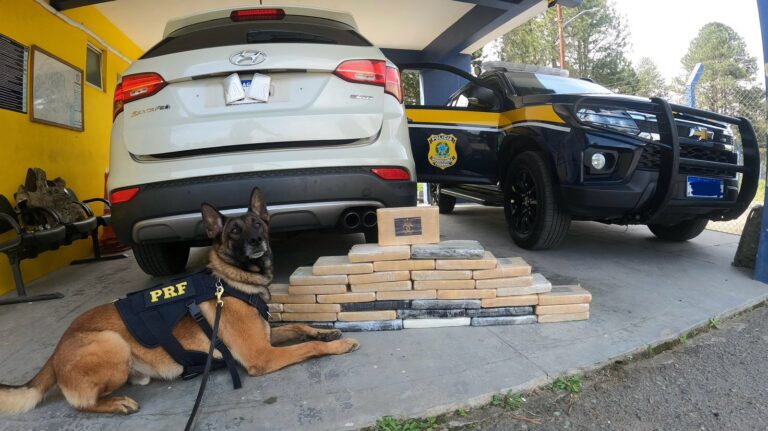 Veículo com mulher grávida transportava 54 kg de cocaína na BR-277