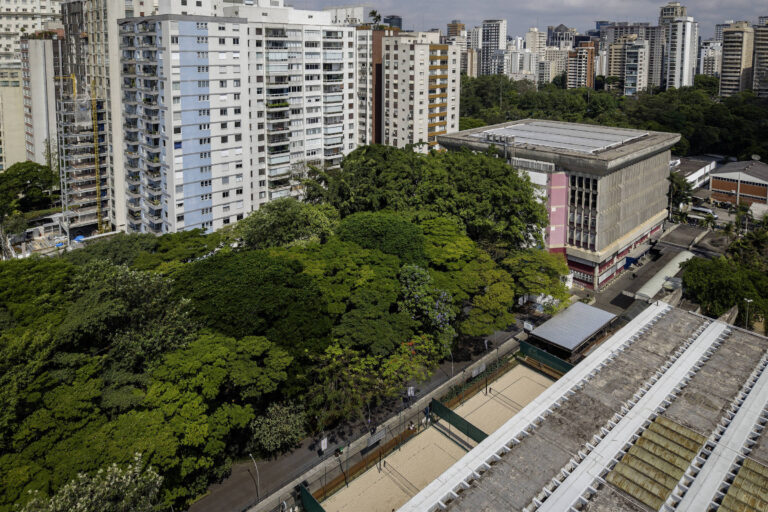 Associados contestam corte de árvores no clube Hebraica em São Paulo