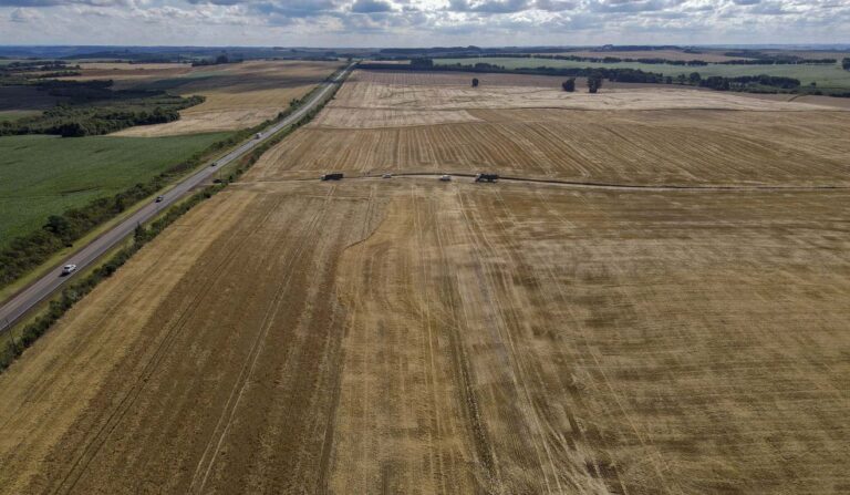 Paraná registra safra histórica de grãos com 46,8 milhões de toneladas
