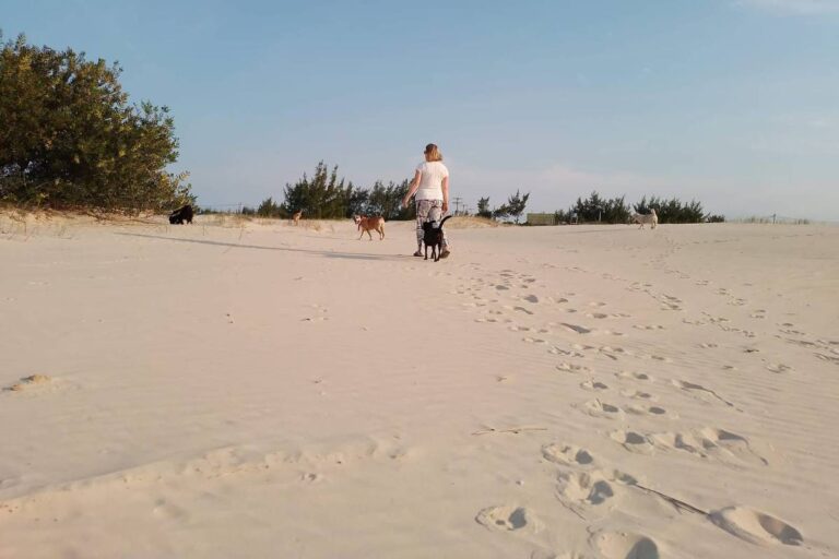 Dunas móveis desafiam urbanização no litoral do Rio Grande do Sul