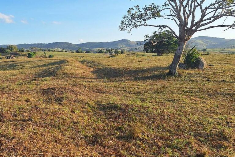 Mapa revela locais dos primeiros quilombos nos Palmares