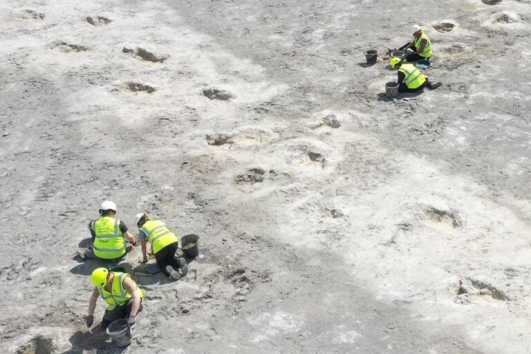 Descobertas científicas de 2025: de dinossauros à origem do fogo