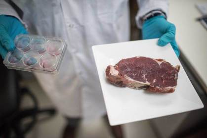 Avanços e desafios da carne cultivada no mercado global em 2025