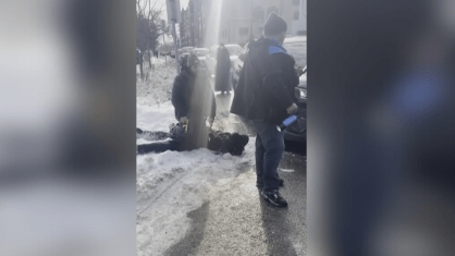 Mulher é arrastada pela polícia imigratória nos EUA