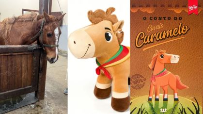 Cavalo Caramelo inspira brinquedo e ajuda escolas no RS