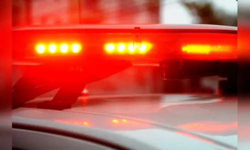 Polícia apreende vinhos e azeites irregulares em Jardim Alegre