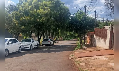 Ataque de abelhas deixa feridos no Jardim Diamantina