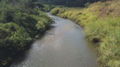 Alerta hídrico: Grande SP enfrenta baixos níveis de água