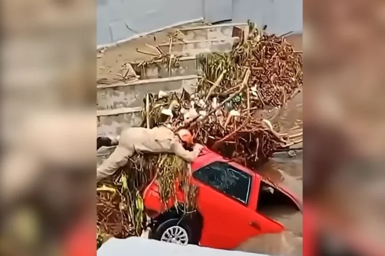 Chuvas em Petrópolis: servidor público é encontrado morto